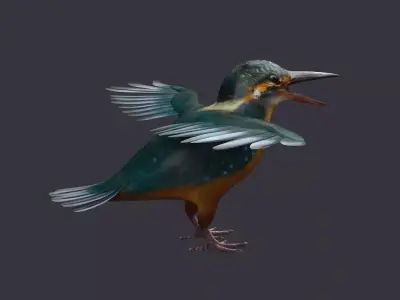 hummingbird humming bird kolibri animal tiny 3D model