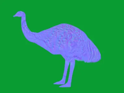 Emu Bird Low-poly 3D model