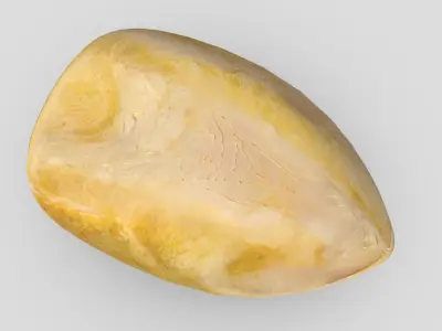 CC0 - Cooked Chicken Breast 2 Free low-poly 3D model