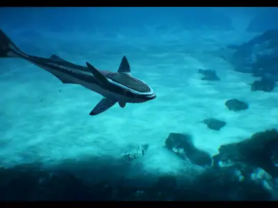 Remora Fish Low-poly 3D model