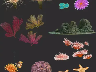 coral collection grapes 3D model