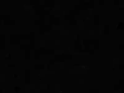 Fairy Frog with Butterfly Wings 3D Model Low-poly 3D model