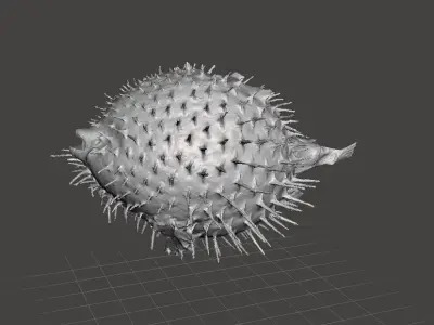 Puffer fish 3d model Free 3D model