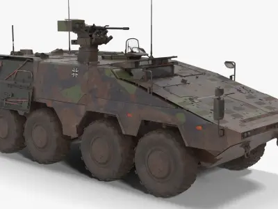 APC Boxer Brown Clean and Dirt 3D model