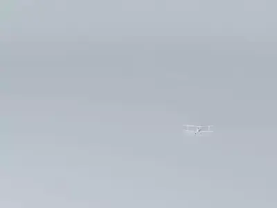 Avro Avian Sports Free 3D model