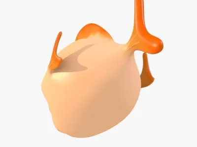 Cute Fish Low-poly 3D model