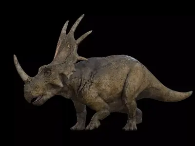 Styracosaurus - Styraco Dinosaur Low-poly 3D model