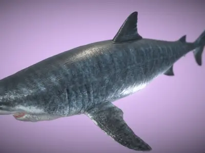 Ultra Megalodon  Low-poly 3D model