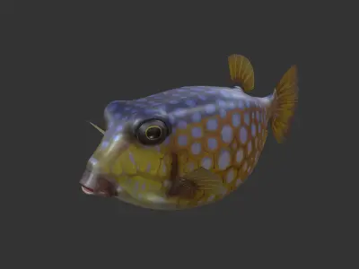 Bo Hom  Low-poly 3D model