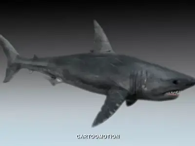 Great white shark Free low-poly 3D model