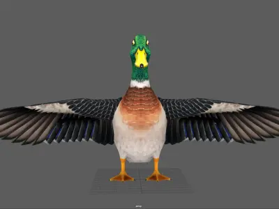 Mallard Duck Low-poly 3D model