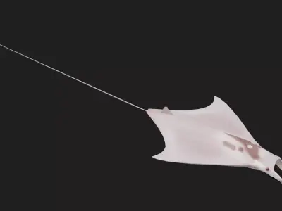 Devilfish Low-poly 3D model