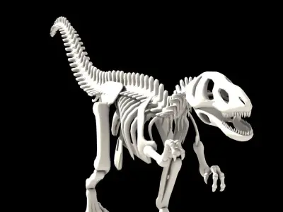 Dinosaurus skeleton Low-poly 3D model