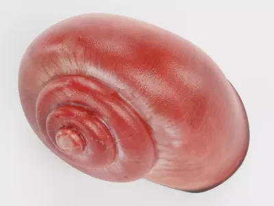 -Snail Shell- Low-poly 3D model