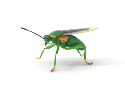 Green Insect Drone model pack Low-poly 3D model