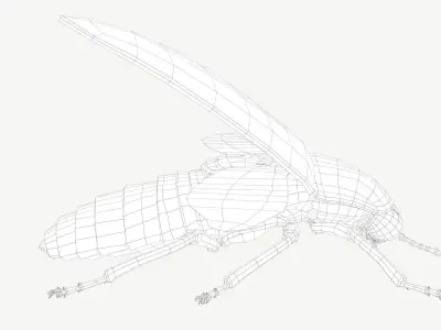 Firefly Low-poly 3D model