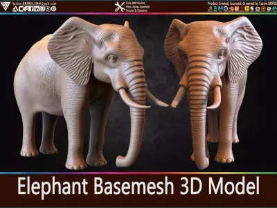 Elephant Basemesh 3D Model Low-poly 3D model