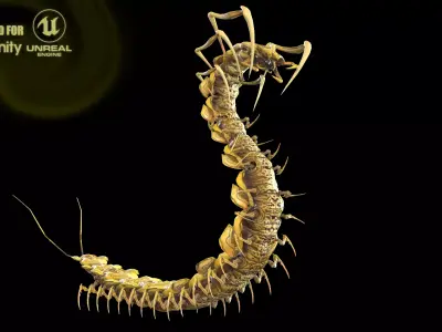 Centipede Low-poly 3D model