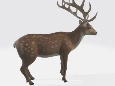 A brown deer with large antlers 3D model