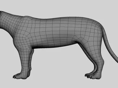 Leopard Topology Uv Map Free low-poly 3D model