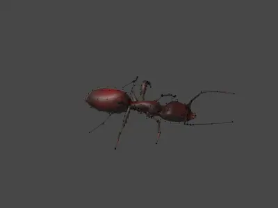 Low Poly Red Ant Low-poly 3D model