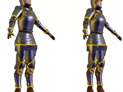 Subdivision 3D Women The Grey Knight Low-poly 3D model