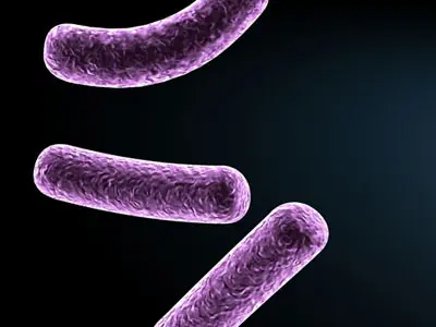 Micro cells models collection 3D model