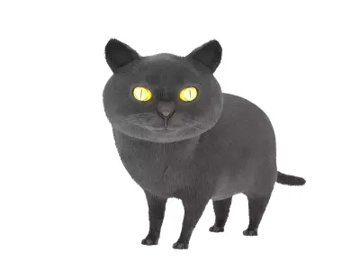 Cat 3D Model Rigged and Animated British Shorthair Low-poly 3D model