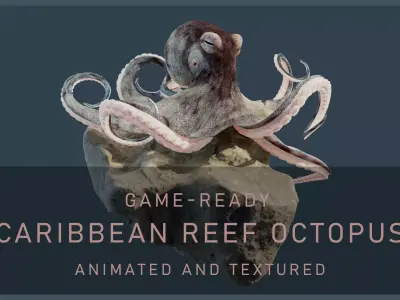 Animated Caribbean Reef Octopus Low-poly 3D model