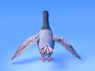 Pigeon with feather system - Cartoon style 3D model