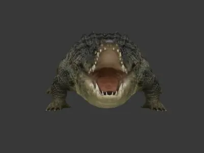 crocodile Low-poly 3D model