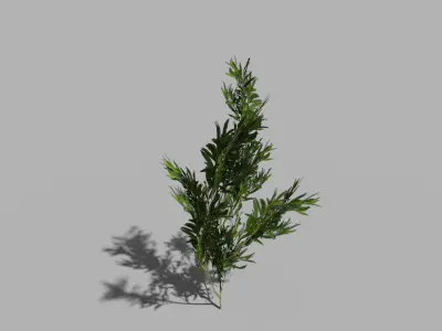 low poly river shrub Low-poly 3D model