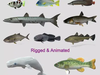 Fish Collection Animated - Game Ready Pack 1 Low-poly 3D model