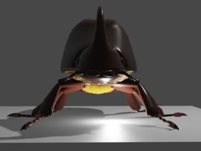 european rhino beetle Low-poly 3D model