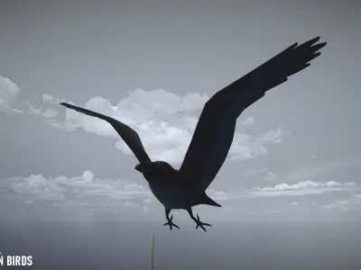 Cartoon birds - big animation pack 3D model