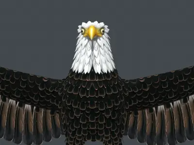 Bald Eagle Low-poly 3D model