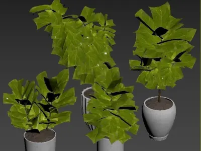 Plant Collection Rpm 06 3D model