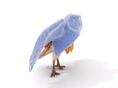 Elegant Owl model pack Low-poly 3D model