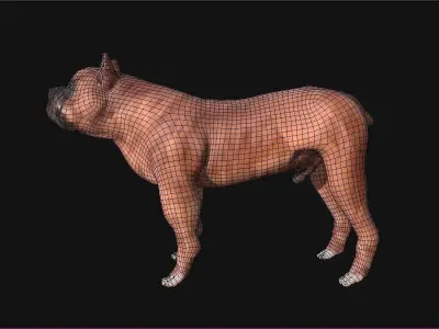 Boxer Dog Low-poly 3D model