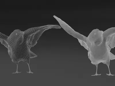 Photorealistic Raven Crow Low-poly 3D model