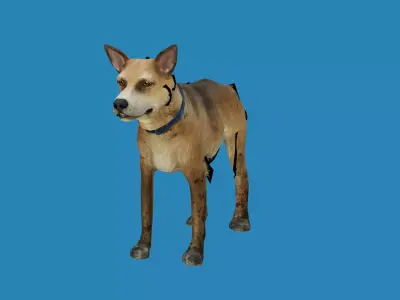 dog lowpoly 3dmodel 3D model