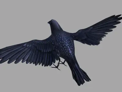 animated low poly crow Low-poly 3D model