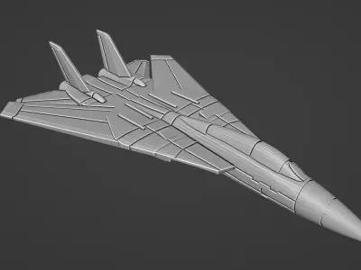 Grumman F-14 Tomcat 3D print model