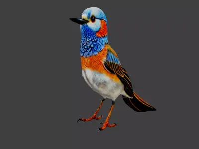 Bird Animal Low-poly 3D model