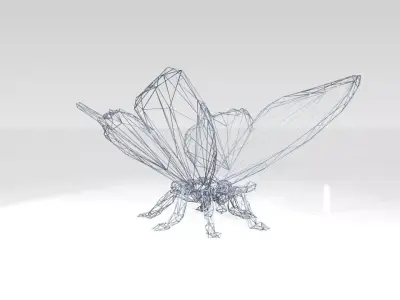 Butterfly Wireframe 3D model