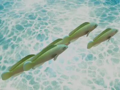 Yellow Dottyback Fish 3D model