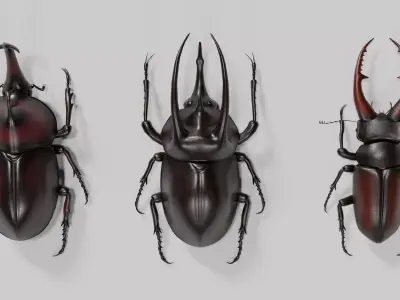 Stag rhinoceros atlas beetles realistic plus gold textures 3D model