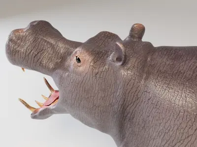 Hippopotamus 3D model