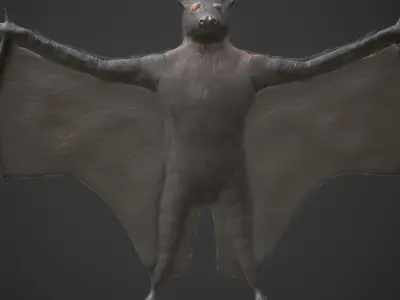 Bat Black Low-poly 3D model