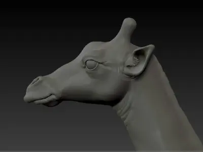 Jiraffe giraffe 3D model